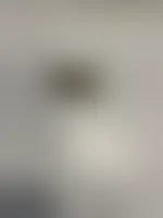 CustomCoastersNow.Com
