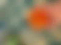 CustomCoastersNow.Com