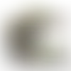 Canopy Tents - Custom Coasters Now