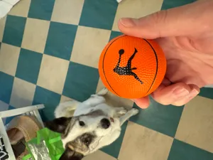 CustomCoastersNow.Com