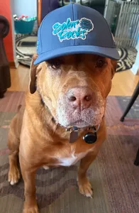 CustomCoastersNow.Com - Full Color TPU