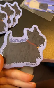 CustomCoastersNow.Com