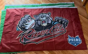 CustomCoastersNow.Com - Rectangle Flag