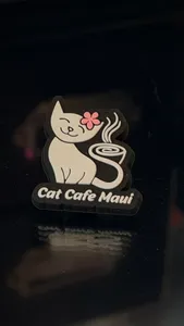 CustomCoastersNow.Com