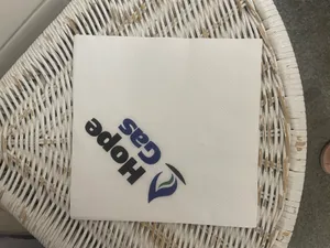 CustomCoastersNow.Com - Custom Paper Luncheon Napkins