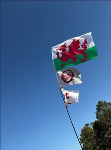 CustomCoastersNow.Com - Rectangle Flag