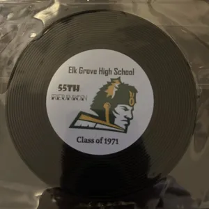CustomCoastersNow.Com - Soft Plastic Record Coaster