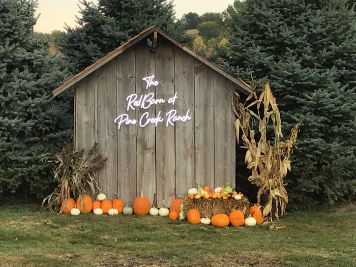 CustomCoastersNow.Com