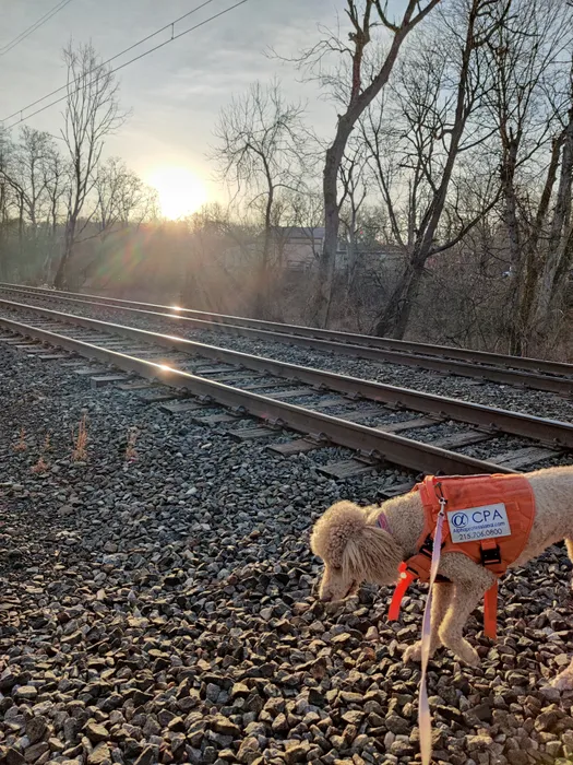 CustomCoastersNow.Com