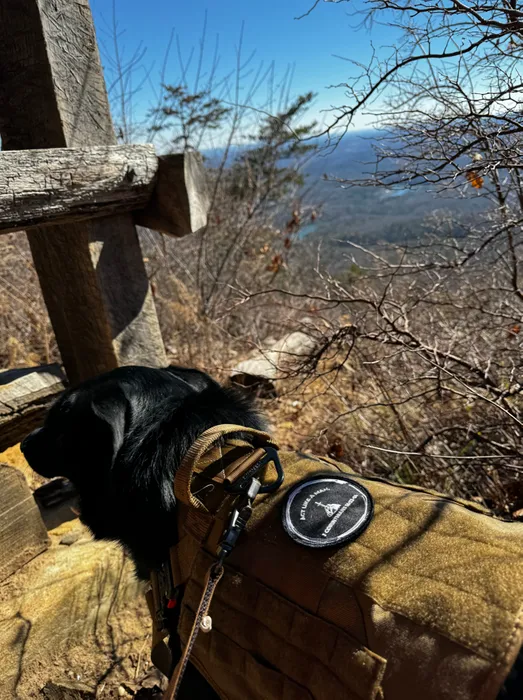 CustomCoastersNow.Com - Embroidered Patches