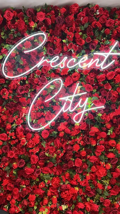 CustomCoastersNow.Com - Custom Neon Sign