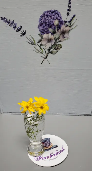 CustomCoastersNow.Com - Pulpboard Coasters