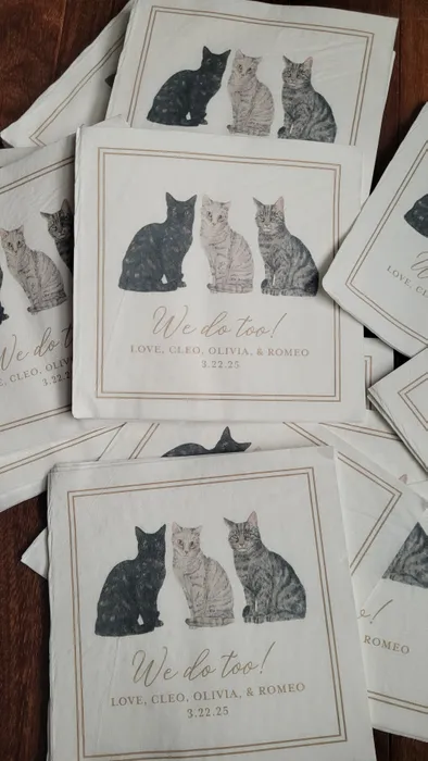 CustomCoastersNow.Com - Custom Beverage Napkin