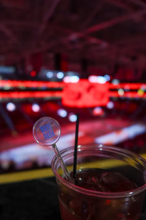 CustomCoastersNow.Com - Transparent Stir Sticks