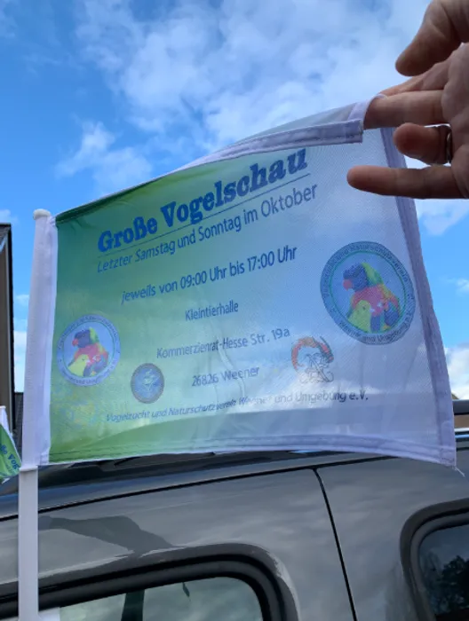 CustomCoastersNow.Com - Car Flag