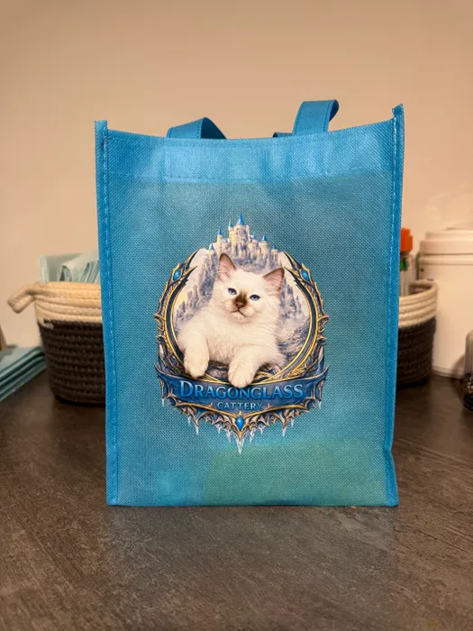 CustomCoastersNow.Com - Custom Small Gift Tote Bag