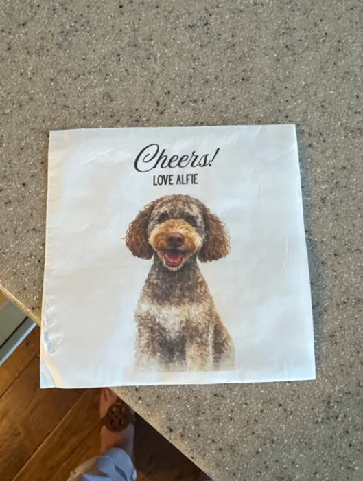 CustomCoastersNow.Com - Custom Paper Beverage Napkin