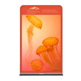 EZ Extend Displays - Custom Coasters Now