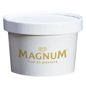 Ice Cream Container - Custom Coasters Now