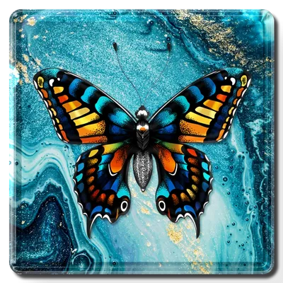 Square - Custom Coasters Now