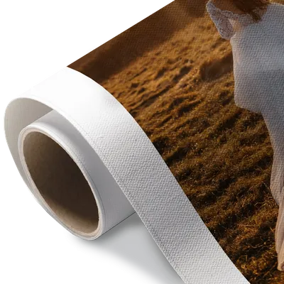 Rolled Canvas - Custom Coasters Now