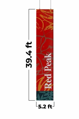 5.2 ft x 39.4 ft - Custom Coasters Now