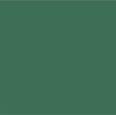 Dark Green Dark Green - Custom Coasters Now