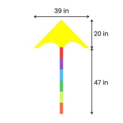 20in L x 39in W (47in Tail Length)