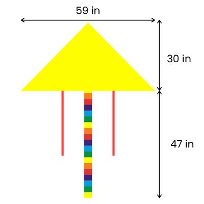 30in L x 59in W (47in Tail Length)