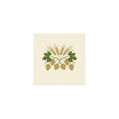 5 in x 5 in - Custom Coasters Now