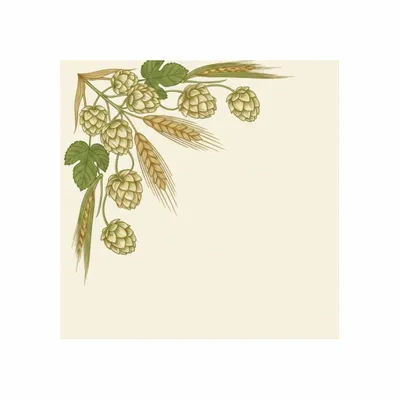 Standard - Custom Coasters Now