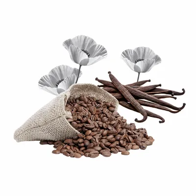 Black Opium - Custom Coasters Now