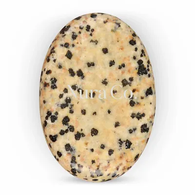 Dalmatian - Custom Coasters Now
