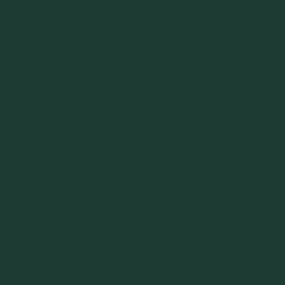 Dark Green - Custom Coasters Now