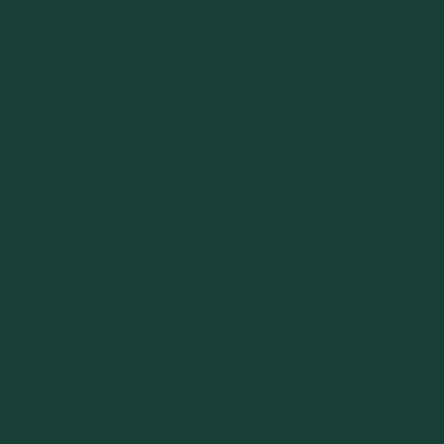 Forest Green - Custom Coasters Now