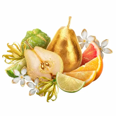 Golden Adore - Custom Coasters Now