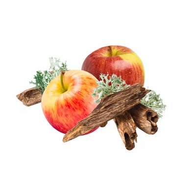Oak Moss - Custom Coasters Now