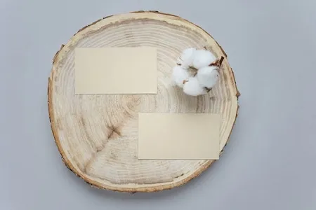 Which Are The Best Wooden Coasters For Different Needs And Styles?