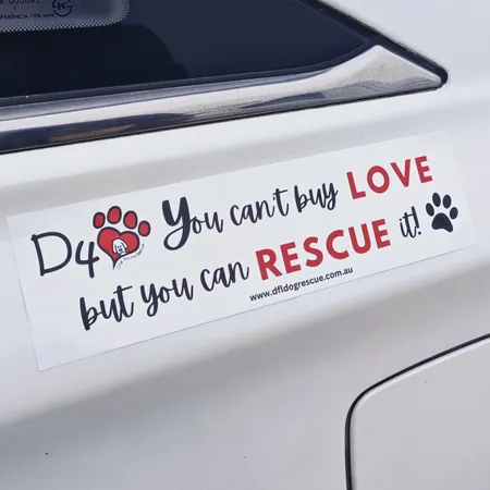 Bumper Stickers - Custom Coasters Now