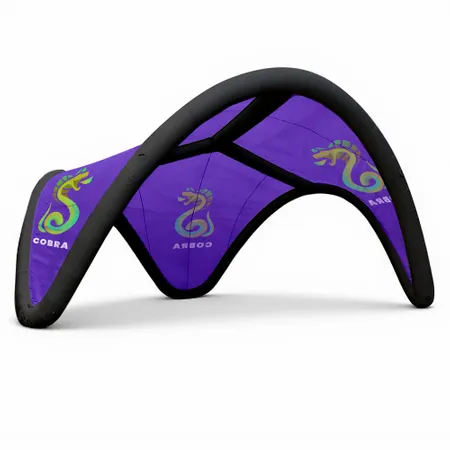 16 ft. x 16 ft. Inflatable Trident Tents 16 ft. x 16 ft. Inflatable Trident Tents - Custom Coasters Now