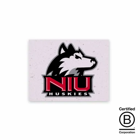 Seed Paper Panel Cards - Custom Coasters Now