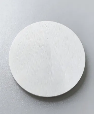 Hard Diatom Mud Coaster - Custom Coasters Now