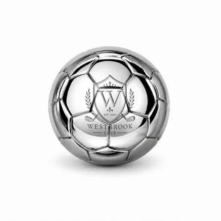 Soccer Ball Stainless Steel Ice Cubes - Custom Coasters Now