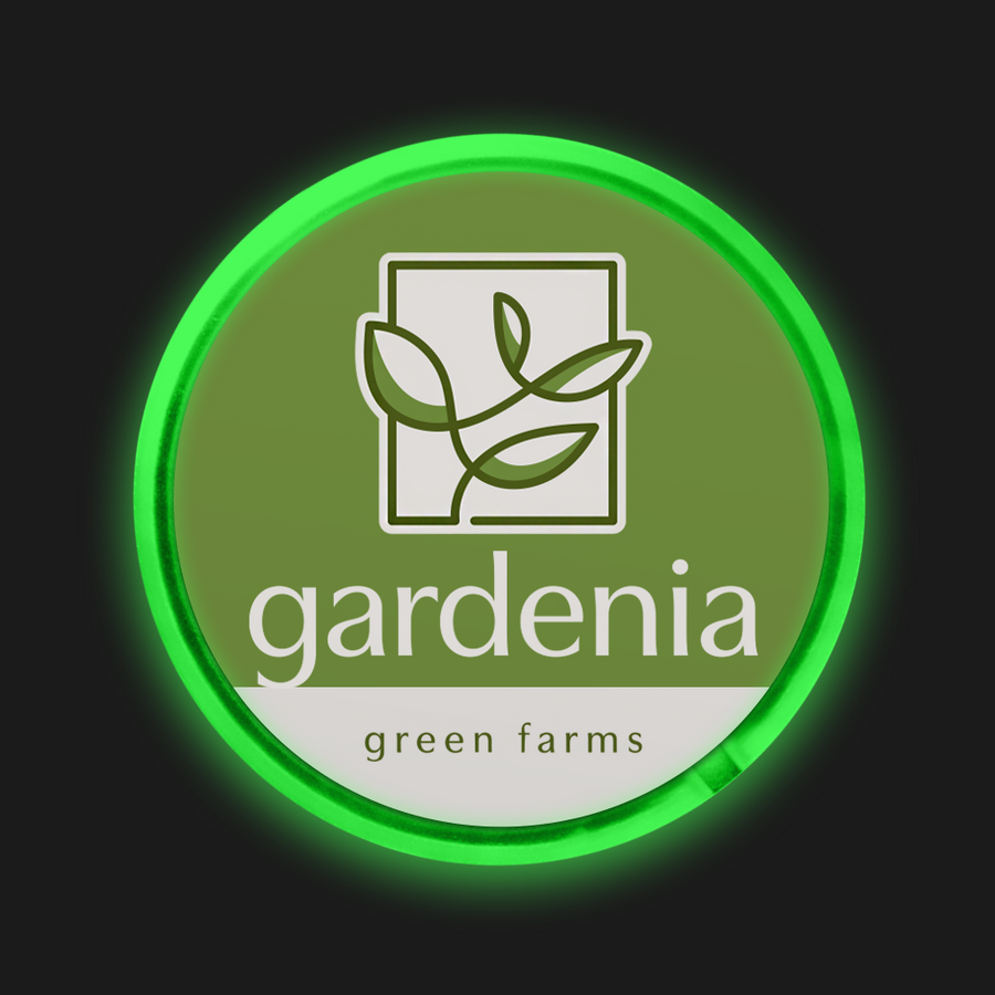 Light Button Pins - Custom Coasters Now